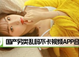 国产在线乱,揭秘国内网络乱象背后的真相与挑战